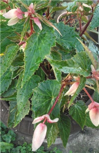 170eb75d-Picture 023.jpg